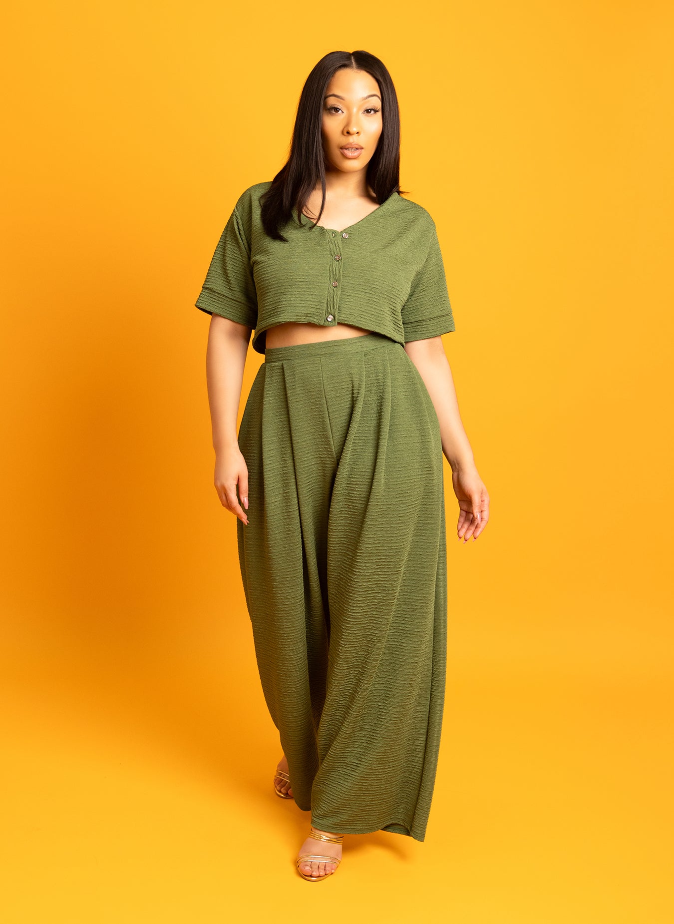 pleated wide leg dress pants Wide Leg Pant With Front Pleat